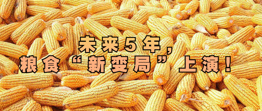 未來5年，糧食“新變局”上演！