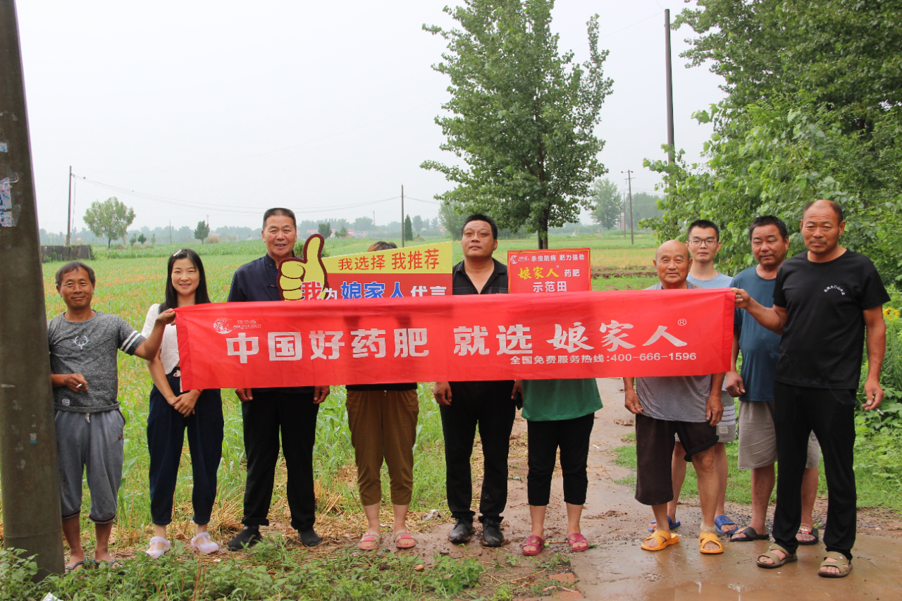 娘家人玉米藥肥，使用效果實(shí)地回訪